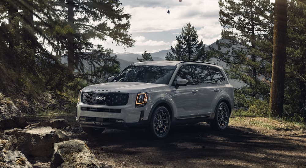 A grey 2022 Kia Telluride is shown from the side parked in the forest.
